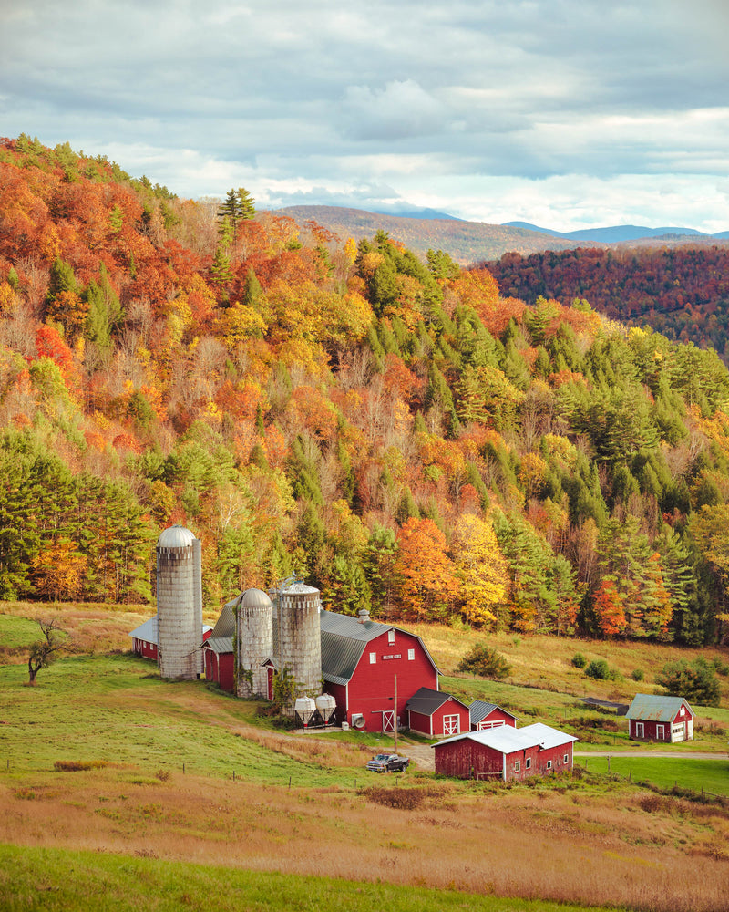 NEW ENGLAND