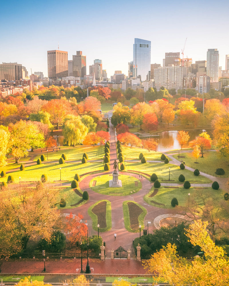 Photo of Boston Common during foliage peak on Glossy Canvas On Stretcher Frame, 60x48′′