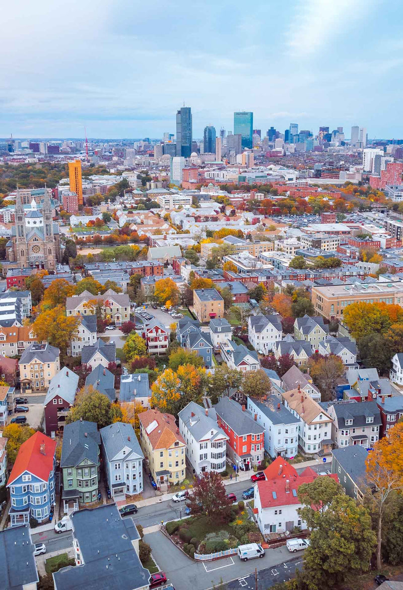 MISSION HILL HILLSIDE STREET IN FOLIAGE framed Blk 13x19